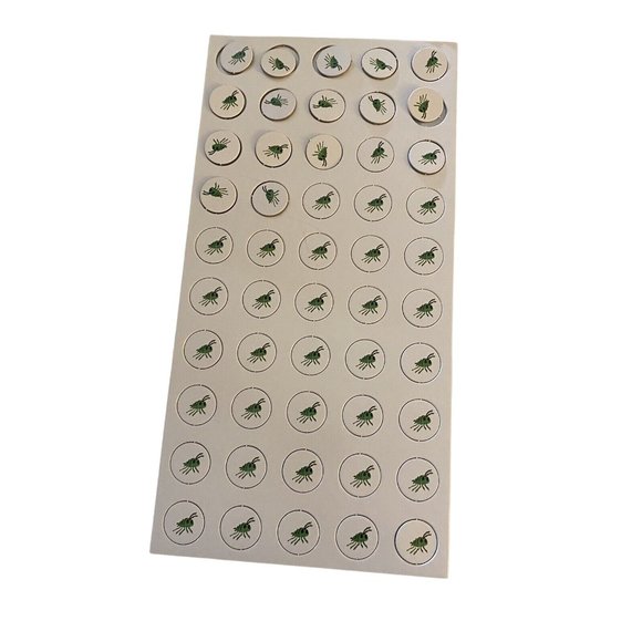 The Grouchy Lady Bug Game - World of Eric Carle - Game of Size and Manners -NEW - Picture 9 of 10